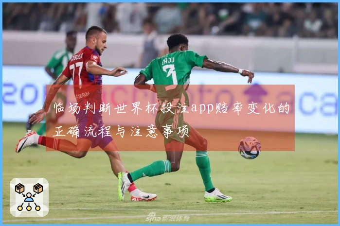 临场判断世界杯投注app赔率变化的正确流程与注意事项