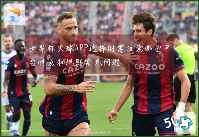世界杯买球APP选择时需注意哪些平台特点和规则常见问题