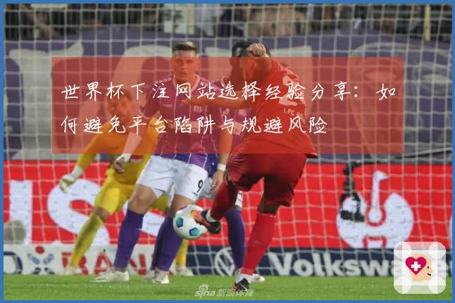 世界杯下注网站选择经验分享：如何避免平台陷阱与规避风险