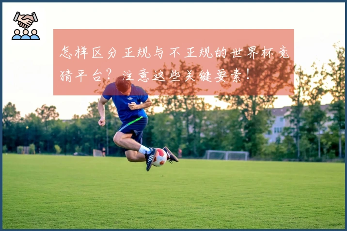 怎样区分正规与不正规的世界杯竞猜平台？注意这些关键要素！