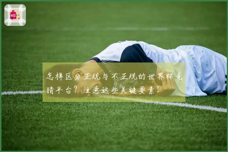怎样区分正规与不正规的世界杯竞猜平台？注意这些关键要素！