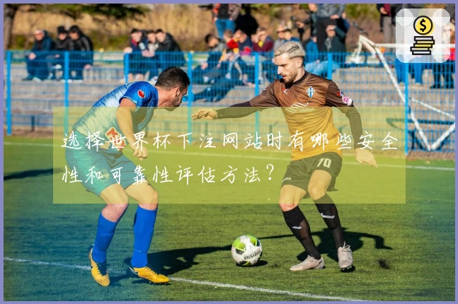 选择世界杯下注网站时有哪些安全性和可靠性评估方法？
