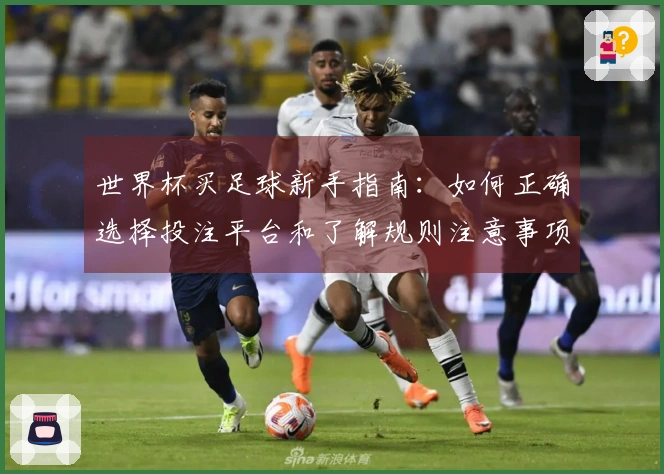 世界杯买足球新手指南：如何正确选择投注平台和了解规则注意事项